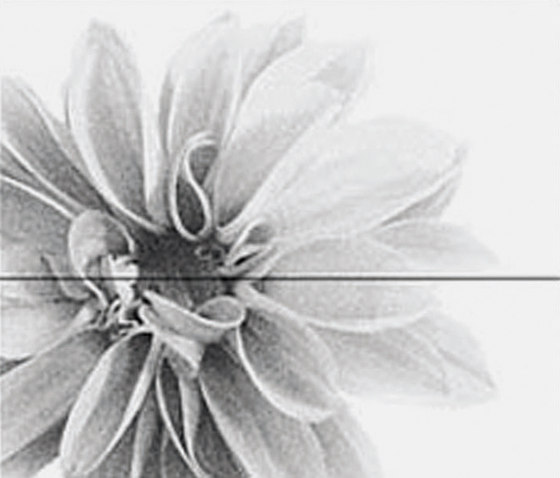 Black and White Slim/4 Decoro Fiore white | Baldosas de cerámica | FLORIM
